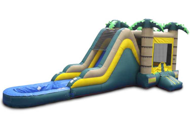 Tropical Combo (Water or Dry Slide)
