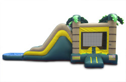 tropical wet dry combo 72d6db06 8e07 45ed bc54 ff2b176dd228 1614182283 Tropical Combo (Water or Dry Slide)