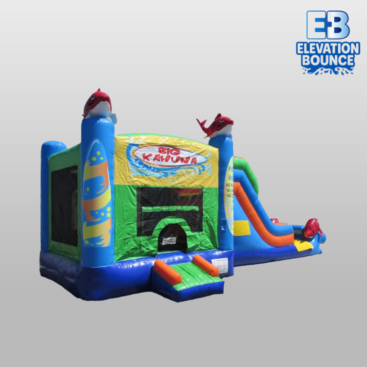 Big Kahuna Combo (Water or Dry Slide)
